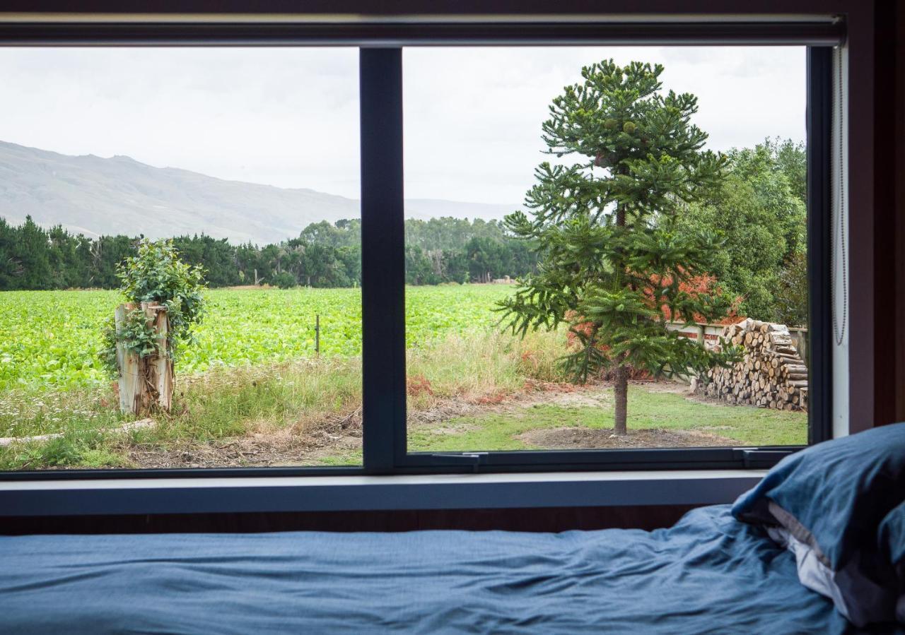 Honey Cottage In Ettrick Millers Flat 외부 사진