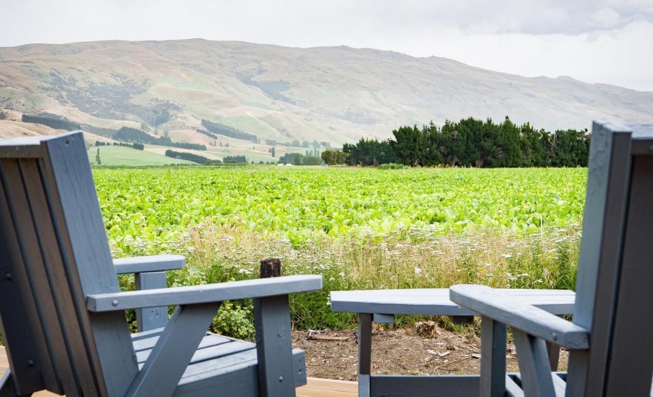 Honey Cottage In Ettrick Millers Flat 외부 사진