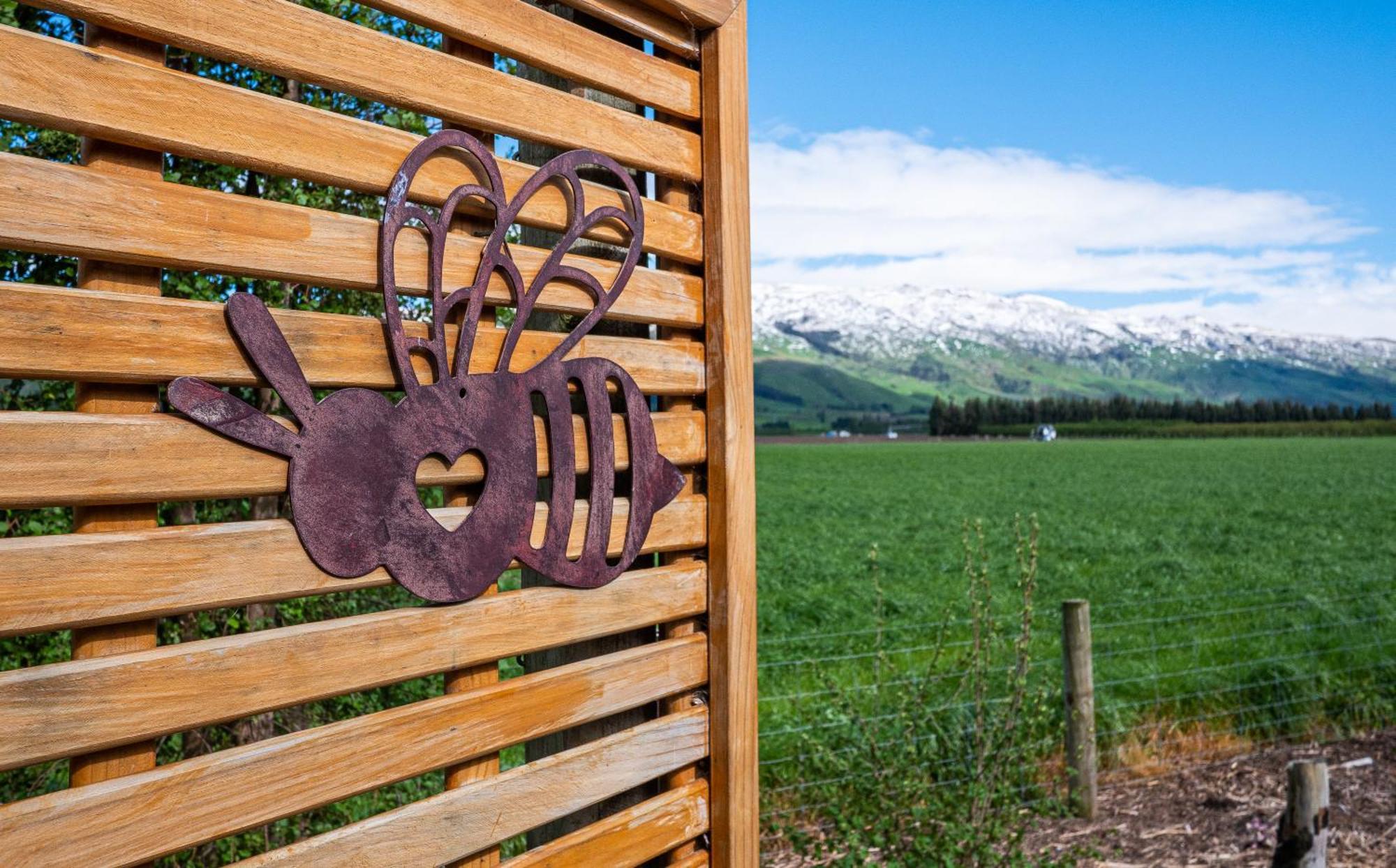 Honey Cottage In Ettrick Millers Flat 외부 사진